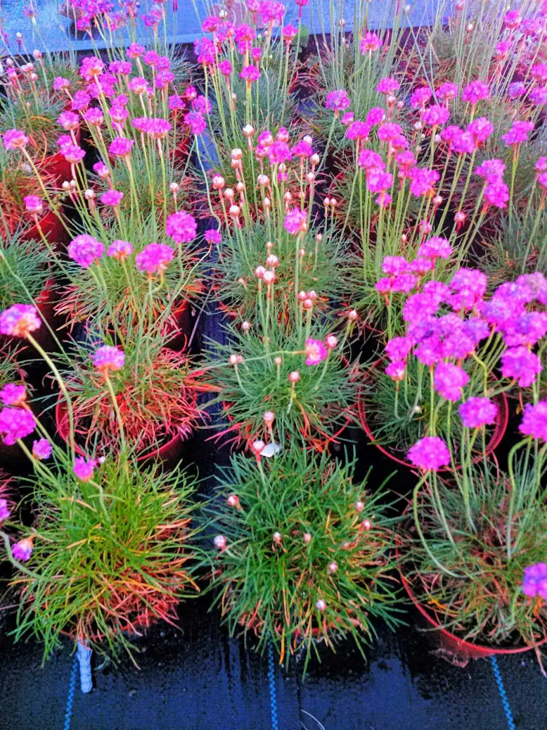 12b68ef3-f10f-456f-b01b-057aefbf31e2