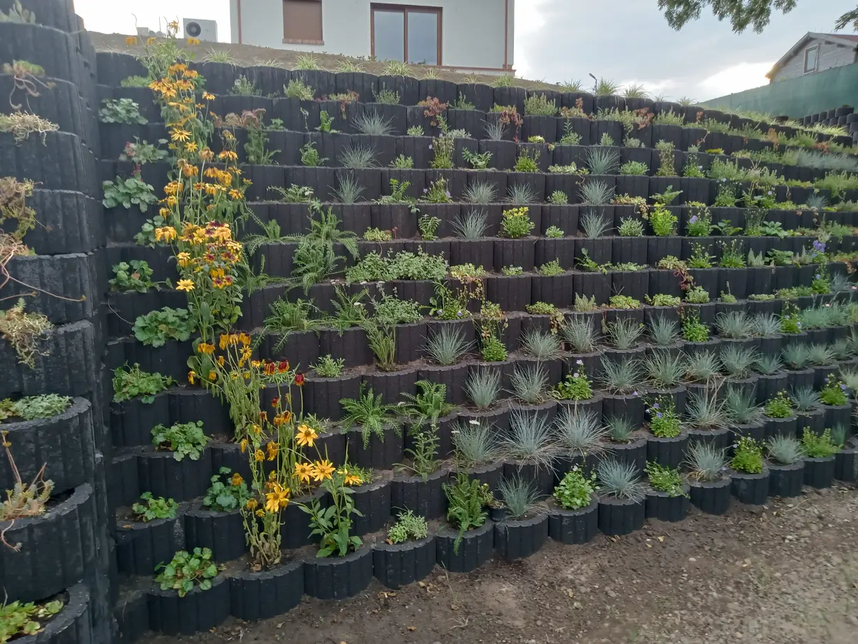 361572183_6731416916925818_4924994033141200577_n