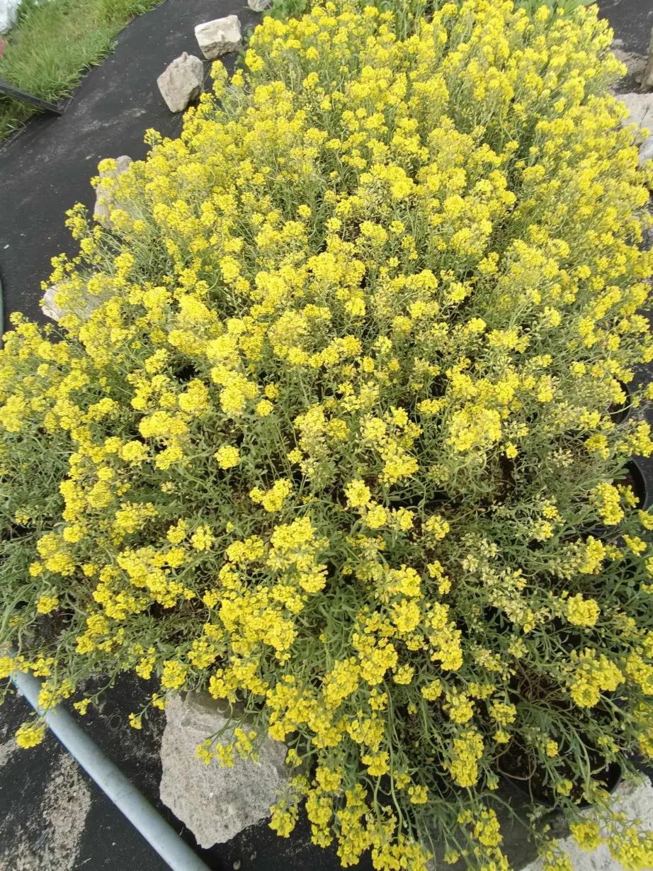 3b3a4071-e886-4ac1-ba40-0a9e836386c5